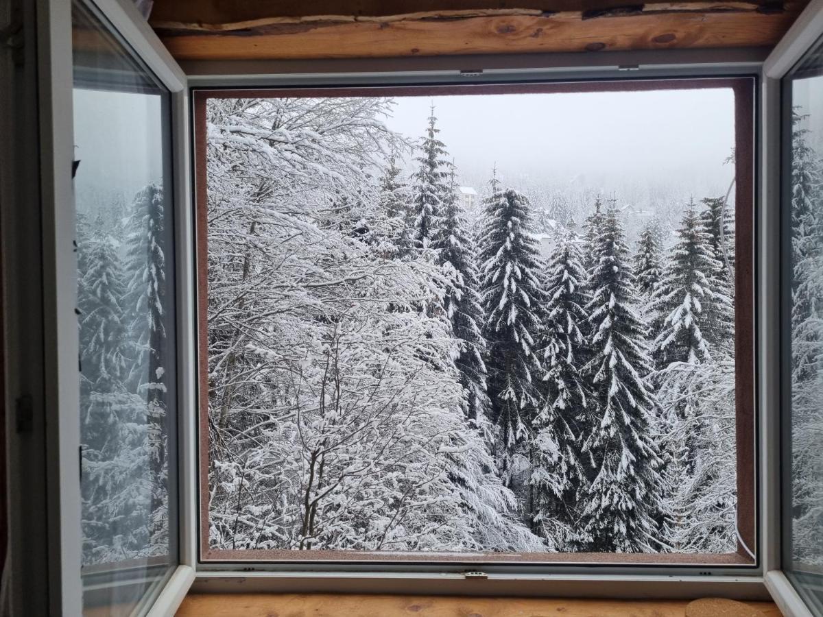 Studio Potocic Kopaonik Eksteriør bilde